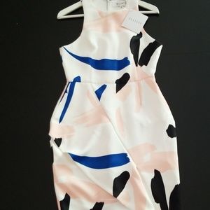 Paint swish ELLIATT dress